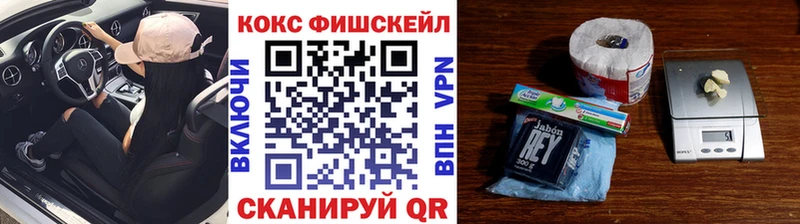 Купить закладки  Уфа  Кокаин Fish Scale 