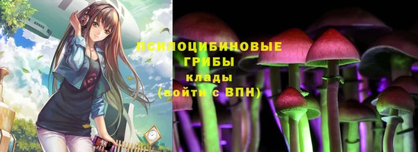дмт Липки