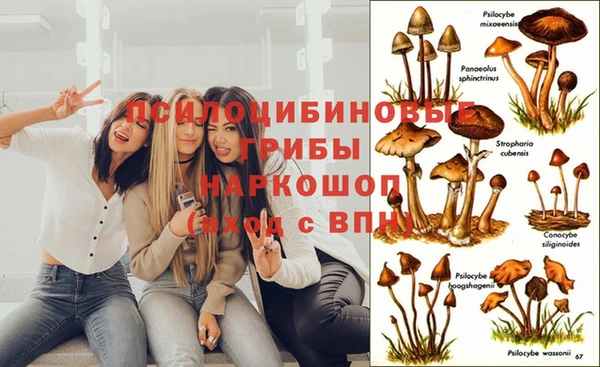 круглые Лихославль